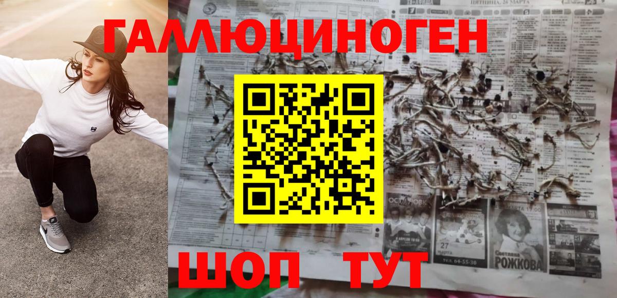 Псилоцибиновые грибы GOLDEN TEACHER Ртищево